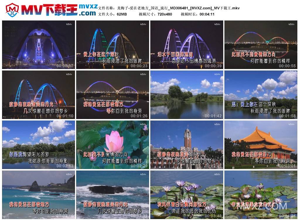 龙梅子-爱在老地方_国语_流行_MD306481